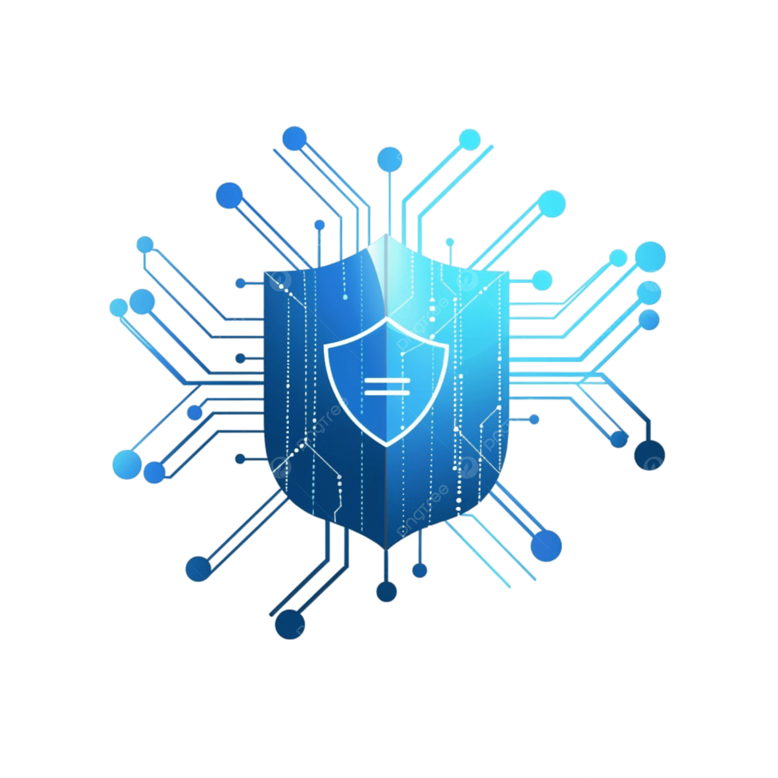Penetration Testing